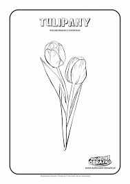 Znalezione obrazy dla zapytania: tulipan kolorowanka antek