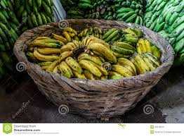 Duży kosz z bananami zdjęcie stock. Obraz złożonej z plik - 46978524