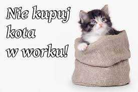Na drapaku - Blog o kotach: Nie kupuj kota w worku!